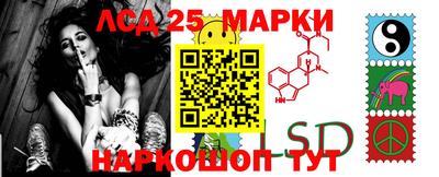 spice Будённовск