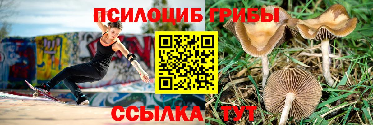 Галлюциногенные грибы GOLDEN TEACHER Тимашёвск