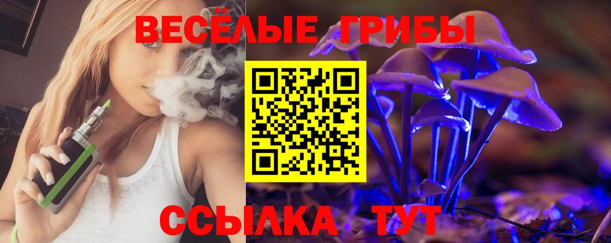 Галлюциногенные грибы Magic Shrooms  Галлюциногенные грибы Cubensis  Вход с VPN  Тимашёвск 